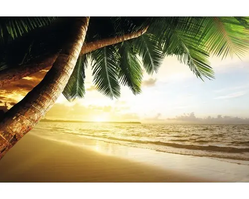 Fototapete Papier 97348 Caribbean Beach Sunrise 7-tlg. 350 x 260 cm