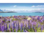 Hornbach Fototapete Vlies 18349 Montain Lake with Flowers 7-tlg. 350 x 260 cm