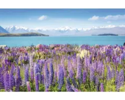 Fototapete Papier 97349 Montain Lake with Flowers 7-tlg. 350 x 260 cm