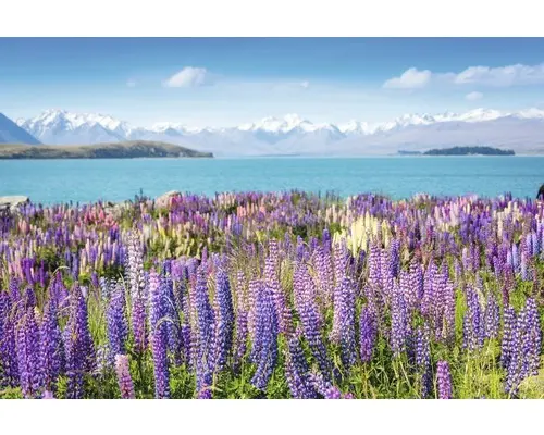 Fototapete Papier 97349 Montain Lake with Flowers 7-tlg. 350 x 260 cm