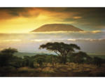 Hornbach Fototapete Papier 97350 Mount Kilimanjaro and Clouds 7-tlg. 350 x 260 cm