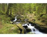 Hornbach Fototapete Vlies 18369 Mountain River 7-tlg. 350 x 260 cm