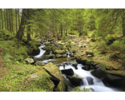 Fototapete Vlies 18369 Mountain River 7-tlg. 350 x 260 cm