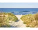 Hornbach Fototapete Vlies 18372 Beach Access 7-tlg. 350 x 260 cm