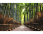 Hornbach Fototapete Vlies 18382 Bamboo Grove of Kyoto 7-tlg. 350 x 260 cm