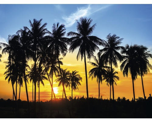 Fototapete Papier 97389 Coconut Palm Trees 350 x 260cm 7-tlg. 350 x 260 cm