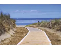 Fototapete Papier 97391 Langeoog Dunes 7-tlg. 350 x 260 cm