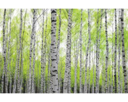 Fototapete Papier 97707 Birch Metalleffekt 7-tlg. 350 x 260 cm