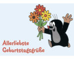 Hornbach Mini-Grußkarte Allerliebste Geburtstagsgrüße Der kleine Maulwurf 7,7x5,5 cm