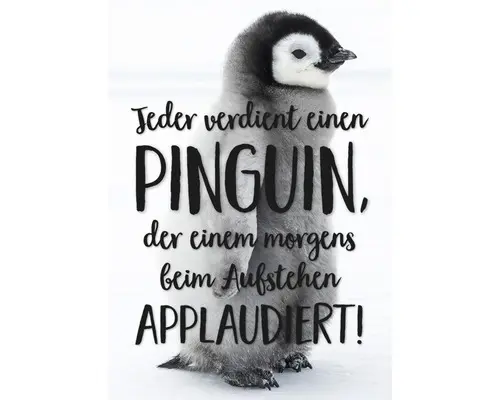 Postkarte Jeder verdient einen Pinguin, der einem morgens beim aufstehen applaudiert! 10,5x14,8 cm