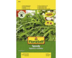 Hornbach Rauke 'Speedy' FloraSelf samenfestes Saatgut Gemüsesamen