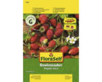 Hornbach Erdbeere 'Bowlenz' FloraSelf samenfestes Saatgut Gemüsesamen