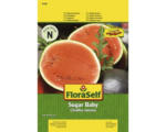 Hornbach Wassermelone 'Sugar Baby' FloraSelf samenfestes Saatgut Gemüsesamen