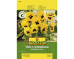 Hornbach Stiefmütterchen Gelb mit Auge FloraSelf samenfestes Saatgut Blumensamen