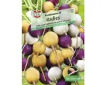 Hornbach Gemüsesamen Sperli Radieschen 'Bunte Kombi', 3 Saatbänder