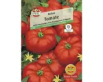 Hornbach Tomatensamen Sperli Fleischtomate 'Delizia F1' krankheitstolerant