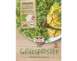 Hornbach Bio-Kresse-Pads für Grünsprossen-Anzuchtset, 3 Stk