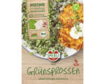 Hornbach Bio-Senf-Pads für Grünsprossen-Anzuchtset, 3 Stk