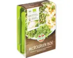 Hornbach Grünsprossen-Anzuchtset Micro Green-Garden Sperli inkl. 4 Samen-Pads