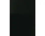 Hornbach Küchenrückwand PICCANTE 262 Brillant Black 1247x640x4 mm