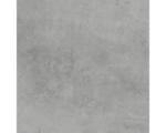Hornbach Feinsteinzeug Bodenfliese HOMEtek grey 60x60 cm grau matt rektifiziert