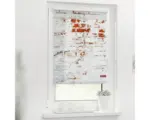 Hornbach Klemmrollo Lichtblick ohne Bohren Mauer 45x150 cm inkl. Klemmträger