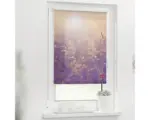 Hornbach Klemmrollo Lichtblick ohne Bohren Sommerabend 45x150 cm inkl. Klemmträger