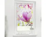 Hornbach Klemmrollo Lichtblick ohne Bohren Magnolie 45x150 cm inkl. Klemmträger