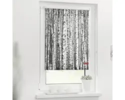 Klemmrollo Lichtblick ohne Bohren Birken 60x150 cm inkl. Klemmträger