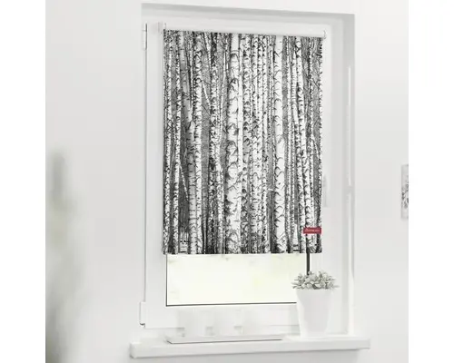 Klemmrollo Lichtblick ohne Bohren Birken 60x150 cm inkl. Klemmträger