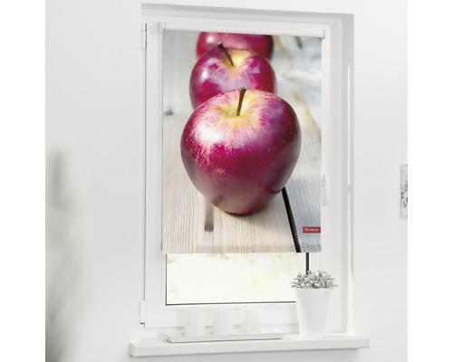 Klemmrollo Lichtblick ohne Bohren Apfel 100x150 cm inkl. Klemmträger