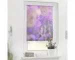 Hornbach Klemmrollo Lichtblick ohne Bohren Blumenwiese 120x150 cm inkl. Klemmträger