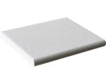 Hornbach Beckenumrandung Leier White SOFTLINE®-Sichtkanten 40 x 28 cm