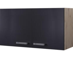 Hängeschrank Flex Well Santo anthrazit/San Remo Eiche hell 100x55x32 cm mit Drehtür