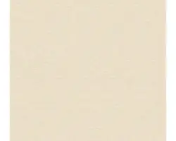 Vliestapete 30689-6 Björn Uni lachsrose