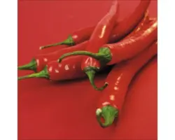 Glasbild Peperoni II 50x50 cm GLA008