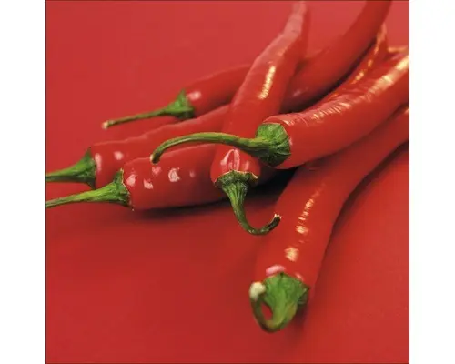 Glasbild Peperoni II 50x50 cm GLA008