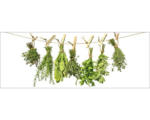 Hornbach Glasbild Hanging Vegetable 50x125 cm GLA1222