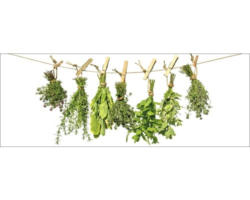 Glasbild Hanging Vegetable 50x125 cm GLA1222