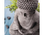 Hornbach Glasbild Zen Garden I 50x50 cm GLA204