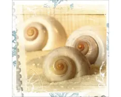 Glasbild Out Of The Sea II 30x30 cm GLA291