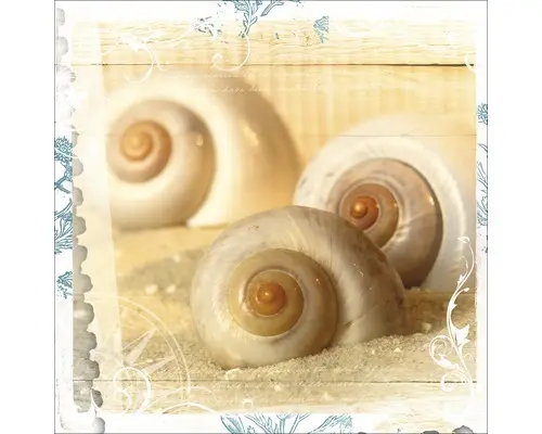 Glasbild Out Of The Sea II 30x30 cm GLA291