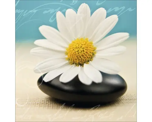 Glasbild Blue Passion I 50x50 cm GLA316