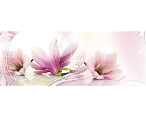 Glasbild Magnolia 50x125 cm GLA355