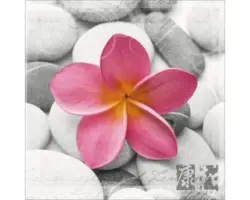 Glasbild Wellness Flowery I 30x30 cm GLA360