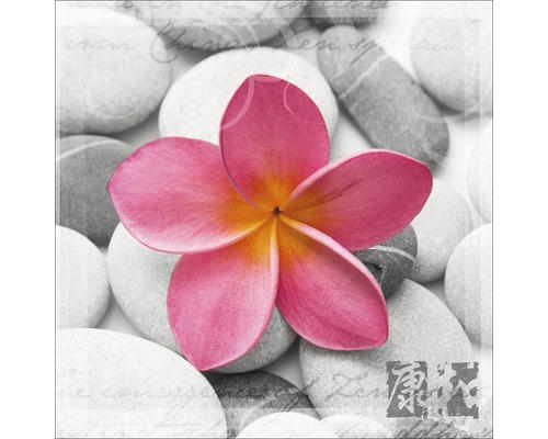 Glasbild Wellness Flowery I 50x50 cm GLA360