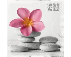 Glasbild Wellness Flowery II 20x20 cm GLA361