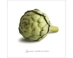 Hornbach Glasbild Artischocke 20x20 cm GLA398