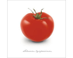 Glasbild Tomate 20x20 cm GLA401