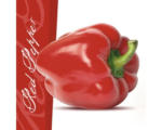 Hornbach Glasbild Red Pepper 50x50 cm GLA432